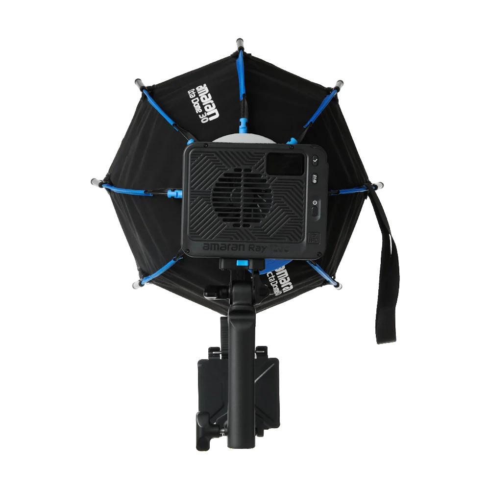 imgi_221_amaranRay120c-05.png